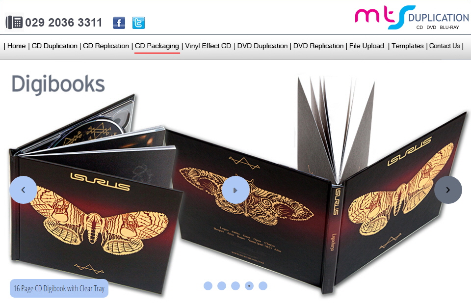 MTS WEBSITE 2