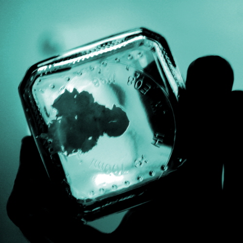 IMG_2687crop cyan